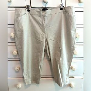 Talbots Beige Pants Size 22W